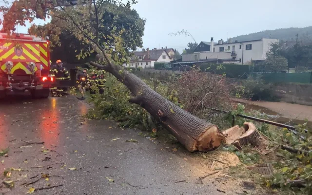 Spadané stromy, nehody, požáry. I to řešili hasiči o volebním víkendu