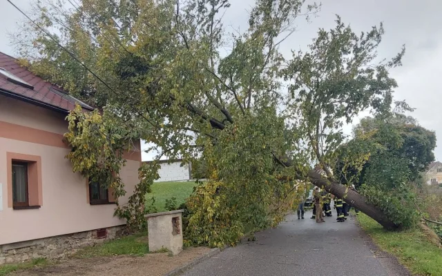 Spadané stromy, nehody, požáry. I to řešili hasiči o volebním víkendu