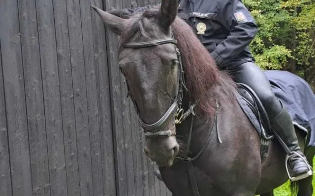 Kontroly chat v Libereckém kraji. Policisté do terénu vyrazili na koních