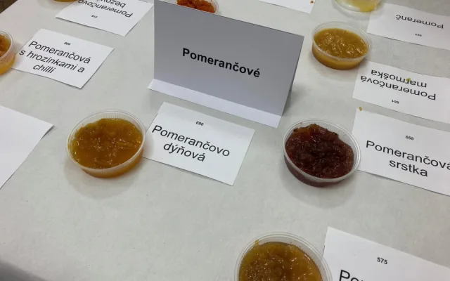 Foto z Jamparády v roce 2024.