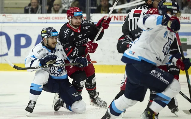 Doma opět za tři body. Tygři přetlačili Hradec 3:2
