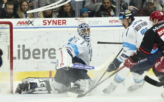 Doma opět za tři body. Tygři přetlačili Hradec 3:2