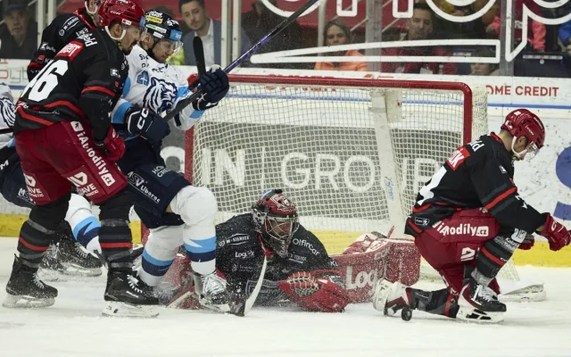 Doma opět za tři body. Tygři přetlačili Hradec 3:2