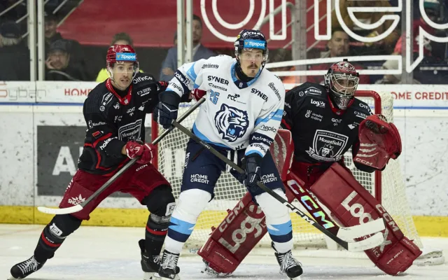 Doma opět za tři body. Tygři přetlačili Hradec 3:2