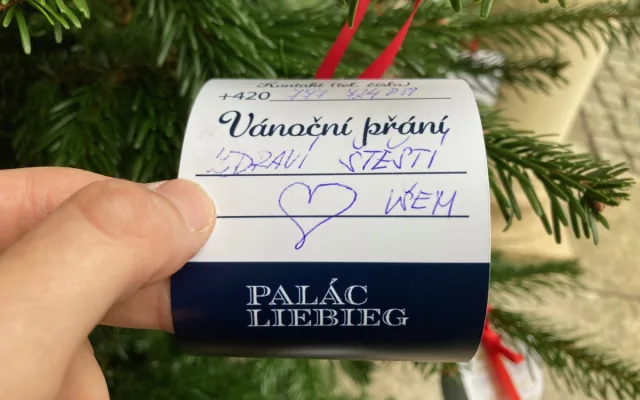 Vánoční strom přání Liberce už není na nádvoří radnice, ale Paláce Liebieg