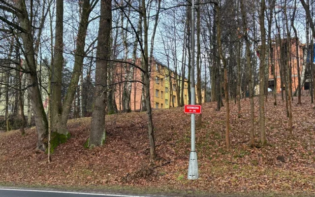 Rány sekyrou, lihový fix i punkové jméno ulice. Romská historie budí v Liberci emoce