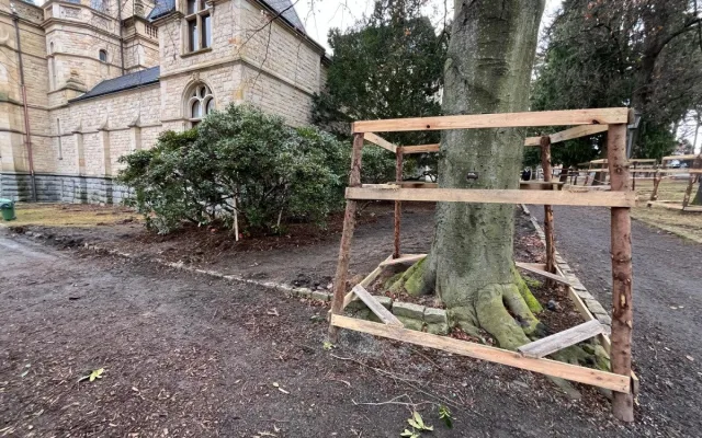 Z prostranství před muzeem zmizely rododendrony. Rekonstrukce parku začala