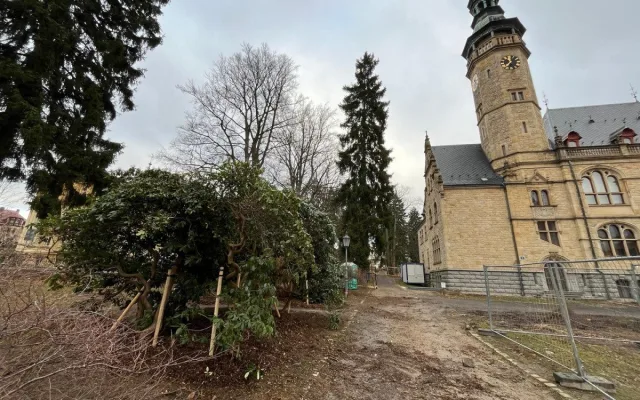 Z prostranství před muzeem zmizely rododendrony. Rekonstrukce parku začala