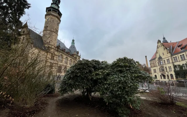 Z prostranství před muzeem zmizely rododendrony. Rekonstrukce parku začala