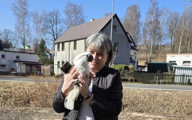 Že papoušky na rameni mají jenom piráti? Ne, v Jablonci nad Nisou i hasiči