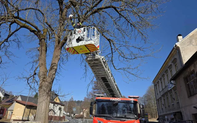 Že papoušky na rameni mají jenom piráti? Ne, v Jablonci nad Nisou i hasiči