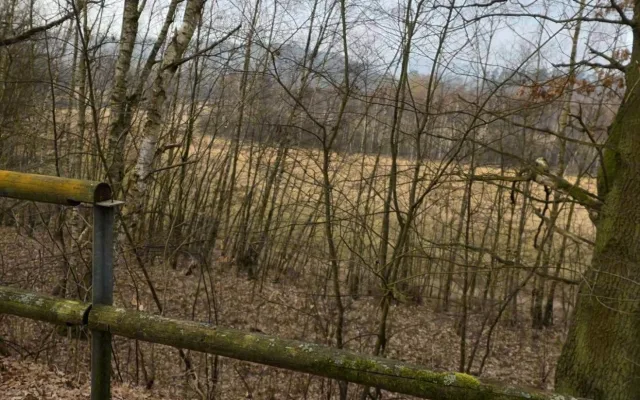 Vandalové na cyklostezce zdevastovali přírodní zábradlí z 36 smrkových kulatin