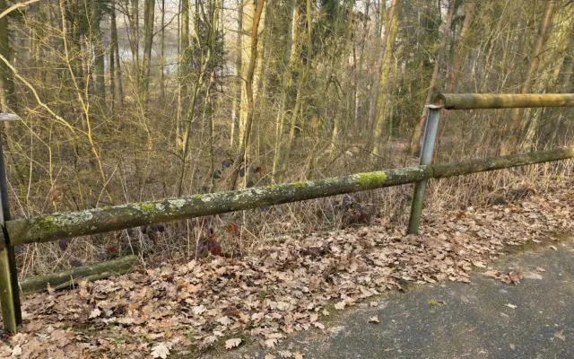 Vandalové na cyklostezce zdevastovali přírodní zábradlí z 36 smrkových kulatin