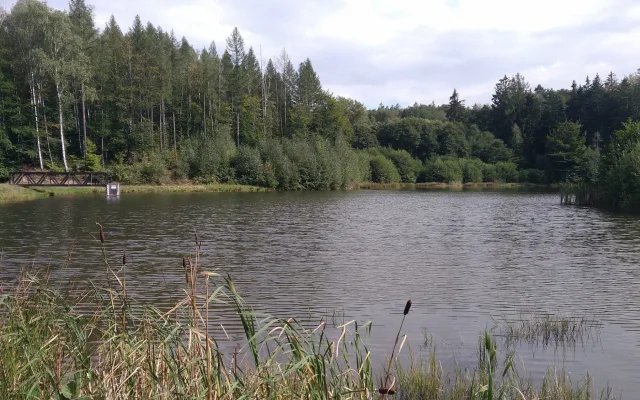 Skvělá zpráva z Jizerskohorských bučin: v tamních vodách se daří rakům