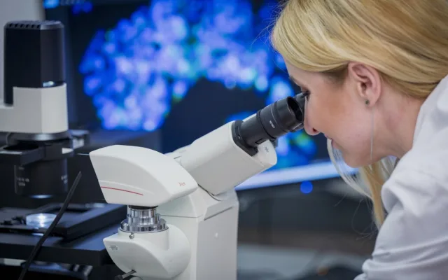 Pomoc špičkových odborníků pro firmy za hubičku? Nabízí ji liberecká univerzita