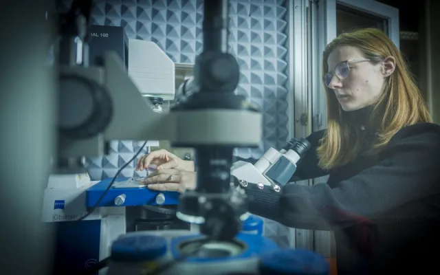 Pomoc špičkových odborníků pro firmy za hubičku? Nabízí ji liberecká univerzita