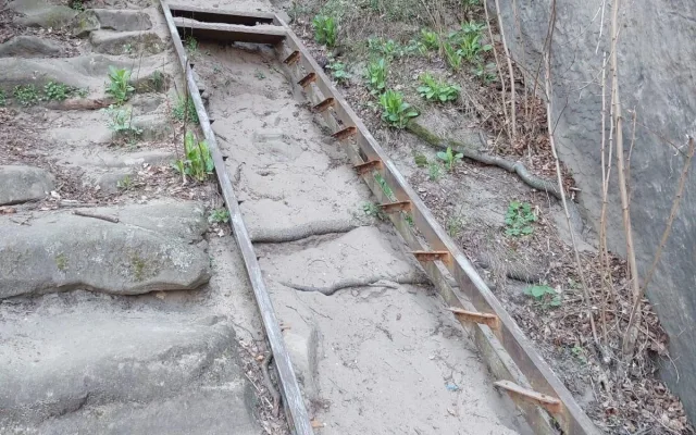 U Drábských světniček hnízdí sokoli, Lesy ČR musí odložit obnovu infrastruktury