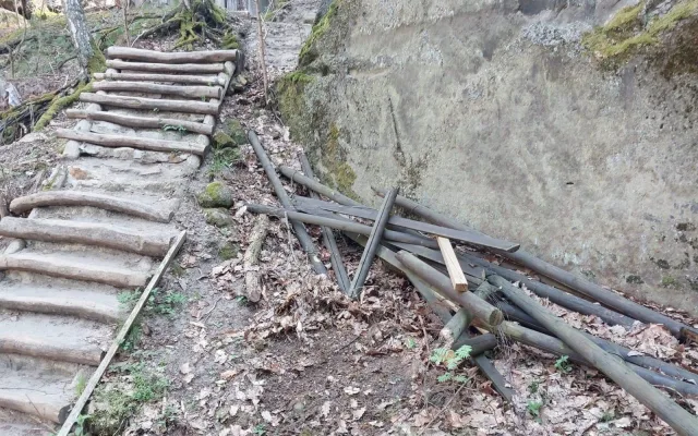 U Drábských světniček hnízdí sokoli, Lesy ČR musí odložit obnovu infrastruktury