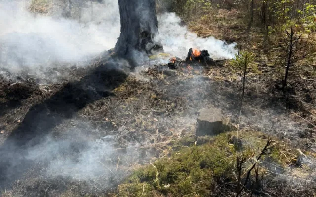 Hasiči z Libereckého kraje dál pomáhají hasit požár v národním parku České Švýcarsko