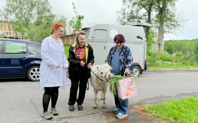 Radost měla ve frýdlantské nemocnici podobu bílé kobylky minikoníka. Pohladit si ji chtěl každý