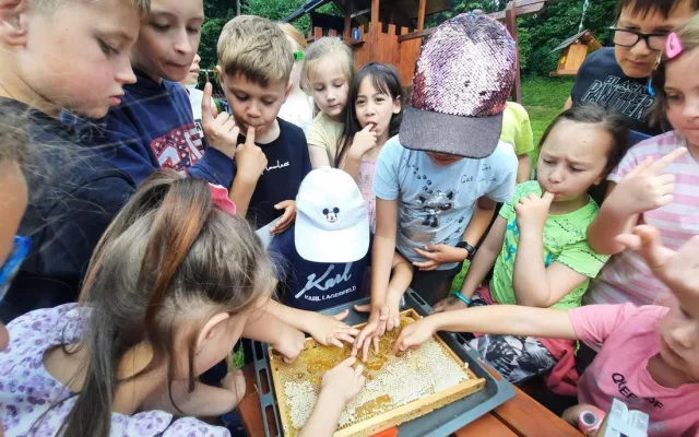 Nejen učebnice. Děti v Libereckém kraji poznávají řemeslo přímo u zdroje