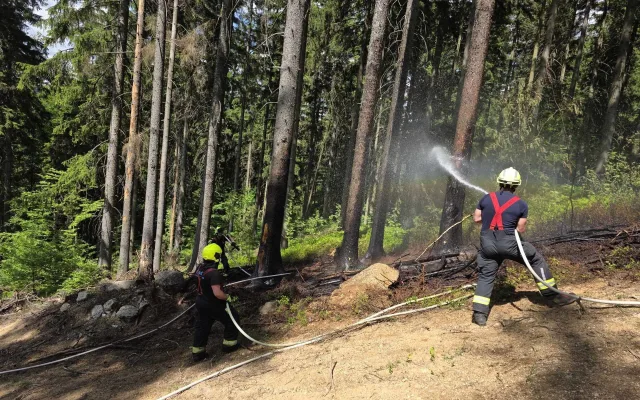 Sucho o sobě dává vědět. Hasiči dnes odpoledne likvidovali hned dva lesní požáry