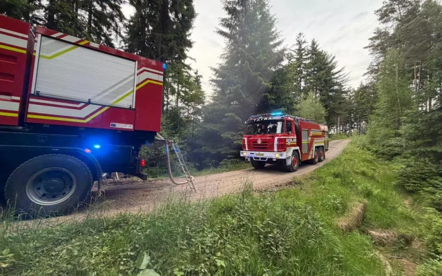 Další požár lesa. Tentokrát hořel v neděli večer u Hrádku nad Nisou