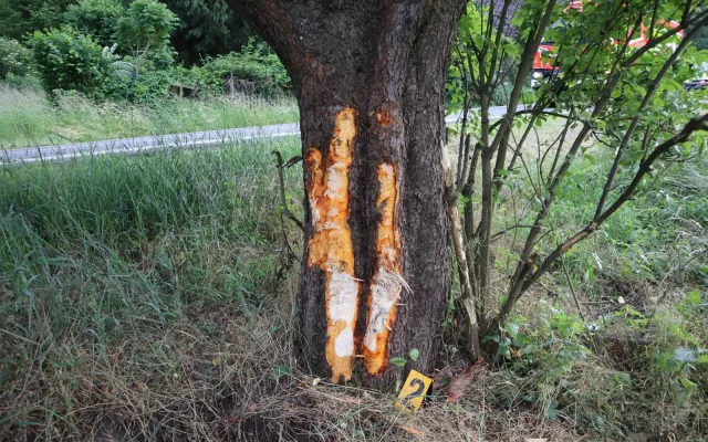 Motorkář vylétl ze silnice a narazil do stromu. Skončil v nemocnici, motorka shořela