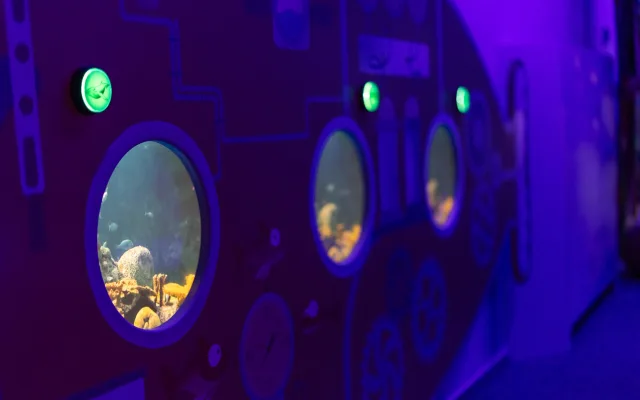 Novinka v libereckém iQPARKU: multisenzorická expozice Moře smyslů
