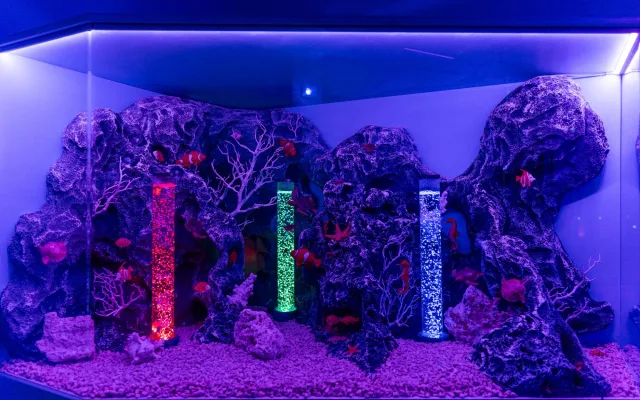 Novinka v libereckém iQPARKU: multisenzorická expozice Moře smyslů
