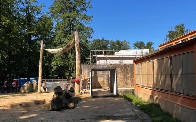 Poslední léto s Balou v Zoo Liberec. Slonice se připravuje na cestu do nového domova