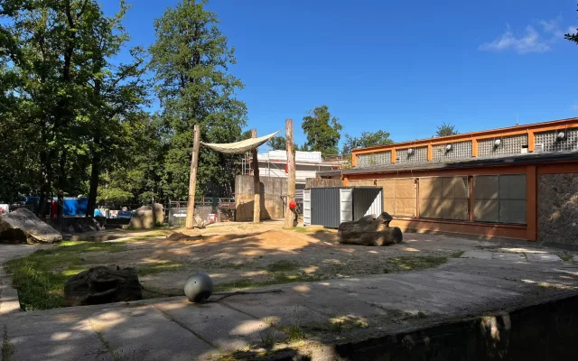 Poslední léto s Balou v Zoo Liberec. Slonice se připravuje na cestu do nového domova