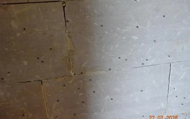 Hlodavci i špína. Inspekce stopla výrobu závitků ve večerce v Raspenavě