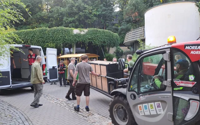 Lvice Elsa, zabavená Karlosu Vémolovi, odjela ze Zoo Liberec. Nový domov má v centru pro velké šelmy