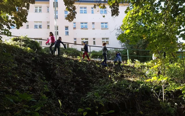 Skauti vyčistili les v Lidových sadech