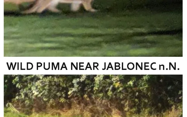 Kam na dovolenou 2020