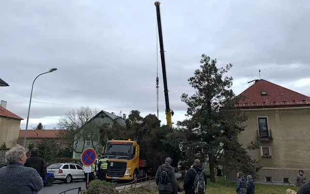 Liberecký vánoční strom
