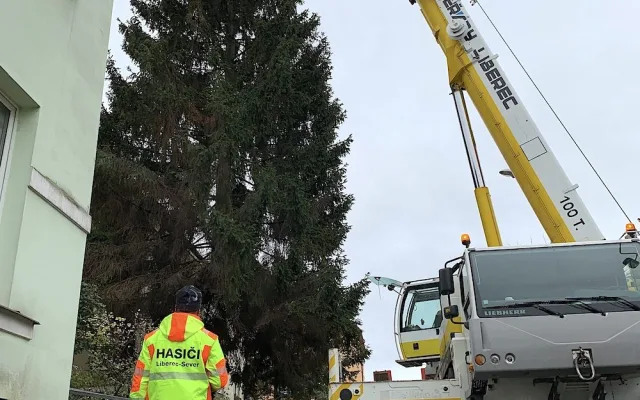 Liberecký vánoční strom