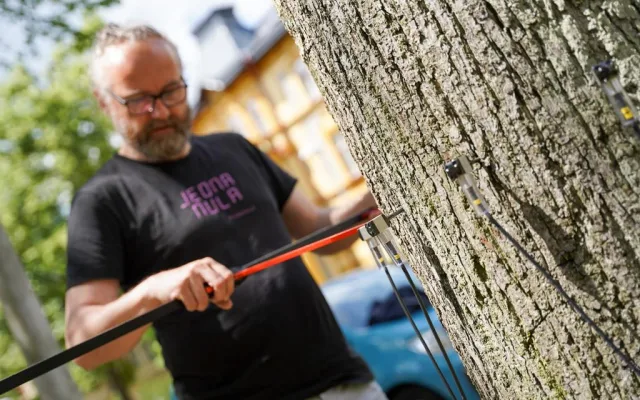 Měření stavu stromů na Masarykově třídě v Liberci