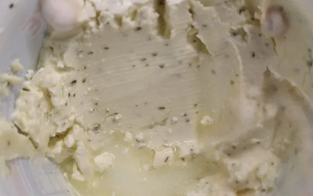 Liberečtí a brněnští vědci učí aplikaci poznat plíseň. Pomůže nevidomým, zapojit se může každý