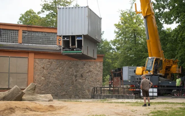 Zoo přišla o svého posledního slona, milovaná Bala odcestovala do Británie