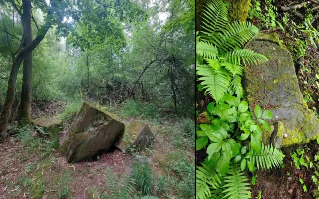 Zaniklou obec Olšina připomene obnovený pomník. Léta zarůstal ztracený v lese