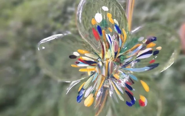 Největší festival skla i v botanické: Fascinující výstava startuje dnes večer