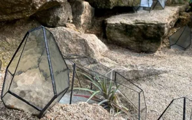 Největší festival skla i v botanické: Fascinující výstava startuje dnes večer