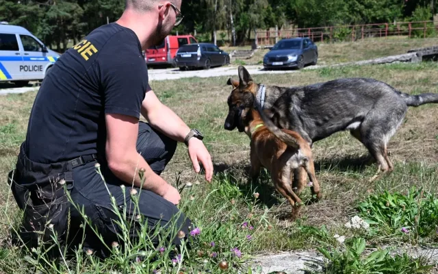 Roztomilé posily u policie: Štěňata Vuky a Soňa cvičí na ochránce a specialistku