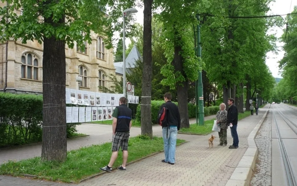 Výstava mezi stromy. Autor: Magistrát