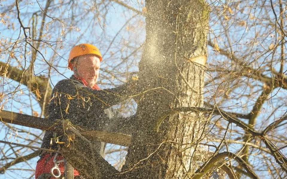 Povolení už není potřeba. Foto: MML