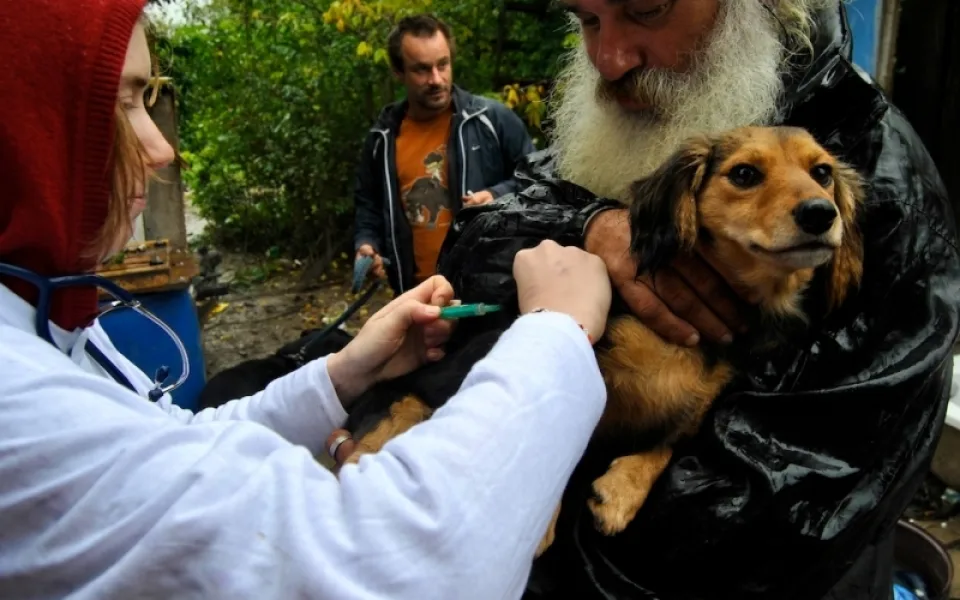 Veterináři bez hranic budou očkovat i v Liberci. Foto: Vsf-cz.eu