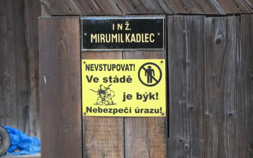 Zloději se evidentně tunového zvířete nebáli. Ilustrační foto: Lukabike.cz