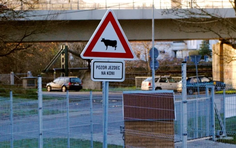 Pozor, jde za námi kůň.